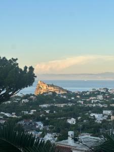 Oasis of tranquility