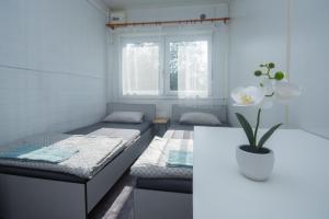 Autokemp u přehrady