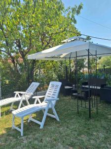 Ljubičica deluxe 2, sa dvorištem i parkingom