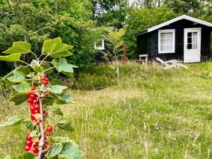 5 person holiday home in Vesløs-By Traum
