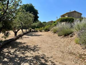Villas Maison avec piscine - Luberon : photos des chambres