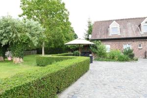 Vakantiewoning Nijkenhof
