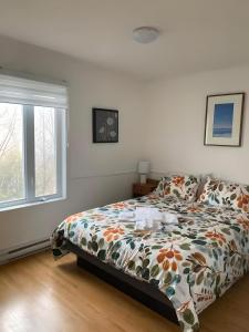 Bleuzen chalet entier