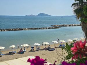 Filoverde vicino il CONI e il mare