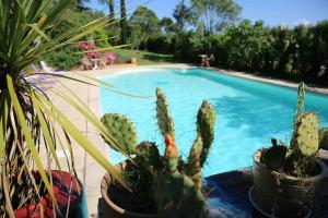 Maisons de vacances Character House Between Toulouse And Carcassonne : photos des chambres