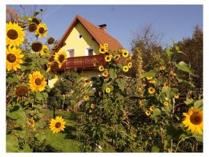 Penzinger in Deutschlandsberg
