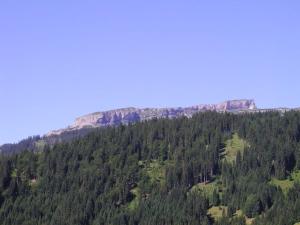 Ferienwohnung mit 1 Schlafzimmer