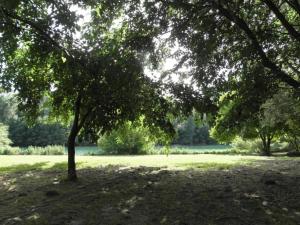 Villas Vineyard Villa in Montfrin, cleaning included : photos des chambres