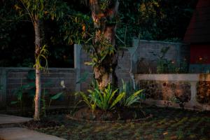 Kacu Bali Munduk