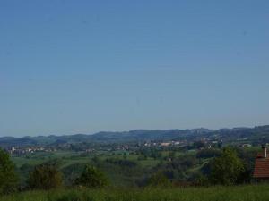 Appartements Villa in Saint-Nectaire near Ski Slopes, cleaning included : photos des chambres