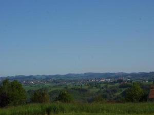 Appartements Villa in Saint-Nectaire near Ski Slopes, cleaning included : photos des chambres