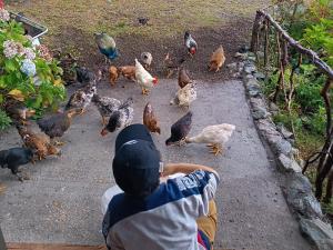 Petrohue hospedaje Dónde la Nena