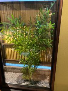 PHEBE8-古民家 Kominka