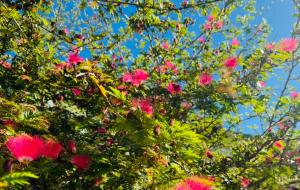 NEW Atitlan Lakefront, Casa Sabiduria