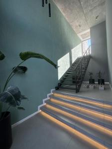 Franca Apartment