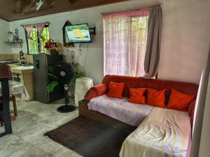 Tortuguero Family House