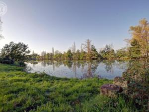 Maisons de vacances Chalets confortables en bord d'etang, parfaits pour peche et nature, avec terrasse et equipements modernes - FR-1-496-83 : photos des chambres
