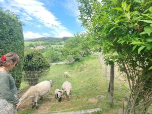 Maisons de vacances Maison lumineuse avec jardin, garage, jeux exterieurs, animaux acceptes - FR-1-496-291 : photos des chambres