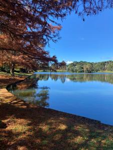 Fantástico Studio Royal Laje de Pedra MV (3022)