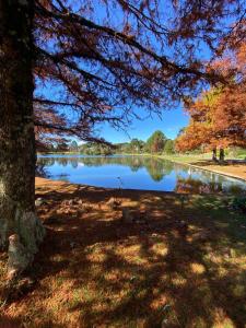 Fantástico Studio Royal Laje de Pedra MV (3022)