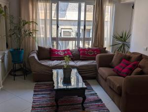 Green Oasis 221 Street Maadi