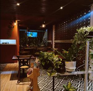 The best view of the river apartments garden