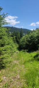 Hájenka Nebe-apartmán NEBE