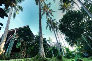Ubud Jungle Stay by WAHM Hotel Management