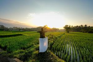 Ubud Jungle Stay by WAHM Hotel Management