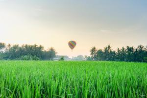 Ubud Jungle Stay by WAHM Hotel Management