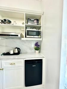 Studio Two Condominium - Olive