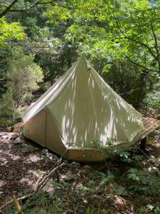 Tente tipi en forêt de châtaigniers