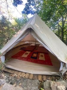 Tente tipi en forêt de châtaigniers