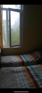 Georgia Racha Nikortsminda hotel