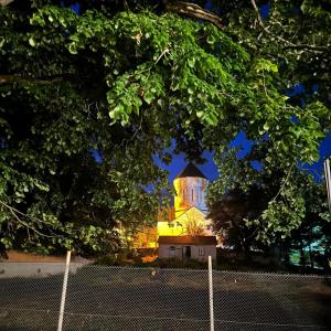 Georgia Racha Nikortsminda hotel