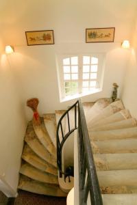 B&B / Chambres d'hotes Bed & Breakfast Chateau Les Cedres : photos des chambres