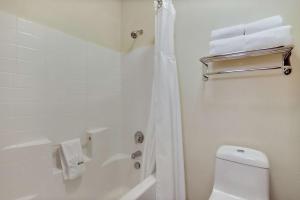 King Suite - Non-Smoking room in Best Western Liberty Inn DuPont