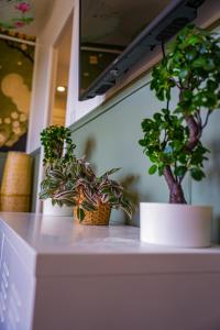 Appartements Le Jardin Suspendu : photos des chambres