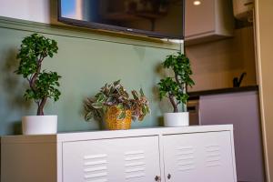 Appartements Le Jardin Suspendu : photos des chambres