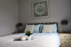 The Grey Door 2 Bed Cottage Banbridge Parking Private Garden
