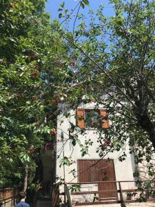 Appartamento Villa Mancini