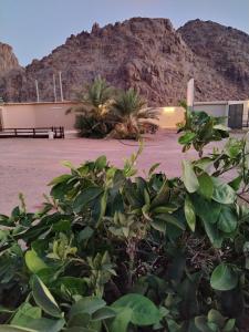 منتجع أوكتال Octal