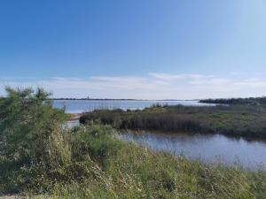 Appartements Azur Perols Oasis de Vacances : photos des chambres