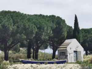 Appartements Azur Perols Oasis de Vacances : photos des chambres