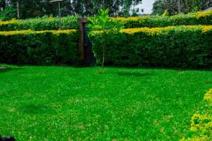 Entire Fully furnished Villas in Kisii