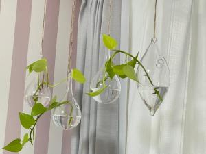 Shitamachi Shin-Koiwa 201