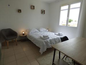 Villas Villa climatisee avec jardin, BBQ, piscine et parking : photos des chambres