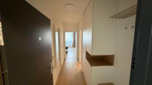 AMG apartment Halalovka