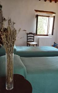 Celle di Lecchi Vigneto