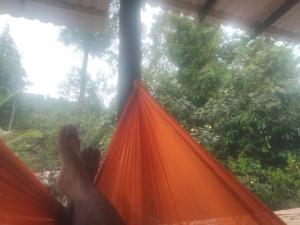 Hornbill Homestay